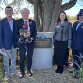 Use the arrows or slide the photo to see more