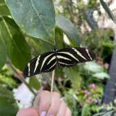 Use the arrows or slide the photo to see more