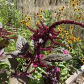 Use the arrows or slide the photo to see more