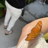 Use the arrows or slide the photo to see more