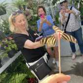 Use the arrows or slide the photo to see more