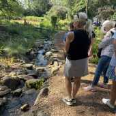 Use the arrows or slide the photo to see more