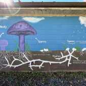 Use the arrows or slide the photo to see more