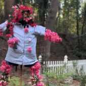 Use the arrows or slide the photo to see more