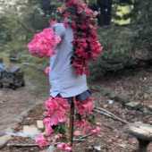 Use the arrows or slide the photo to see more