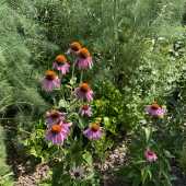 Use the arrows or slide the photo to see more