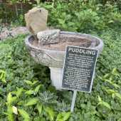 Use the arrows or slide the photo to see more