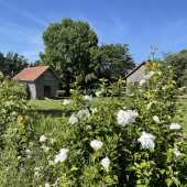 Use the arrows or slide the photo to see more