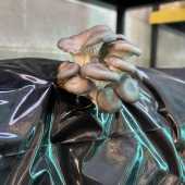 Use the arrows or slide the photo to see more