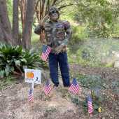 Use the arrows or slide the photo to see more