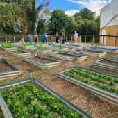 Use the arrows or slide the photo to see more